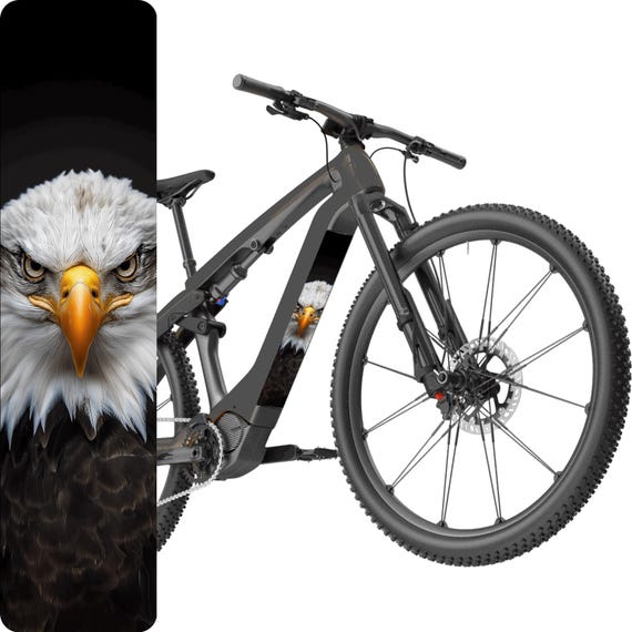 fahrradbeleuchtung set Fenix BC28R – Smartes Fahrradlicht mit Rücklicht, 2500 Lumen – fenixlight Category:City Urban Citybike_Aluminium aero bent IT  schwarz Victoria eTrekking 7.5 Wave Motiv:Pia Prinzessin