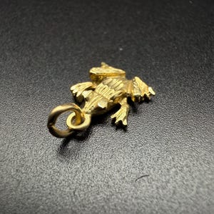 Gold Frog Pendant - 10k Lucky Charm Pendant, Gold Toad Jewelry, Dainty Amphibian Pendant, Gift for Daughter, Unique Birthday Gift