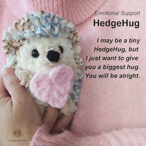 Crochet Hedgehog Plushie: Handmade Emotional Support Amigurumi, HedgeHug Plushie with a card.