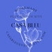 Casa Bleu Play Dough