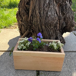 Rectangular Cedar Planter Box