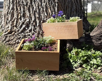 May include: Two rectangular wooden planters filled with soil and colorful flowers, including purple and white blooms. The planters are set outdoors near a tree trunk, surrounded by green grass and foliage.