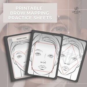 Eyebrow Mapping Practice Sheets, Face Shape Guide, Printables for School, Microblading Training ...