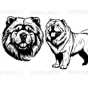 May include: Black and white illustrations of a Chow Chow dog. One image shows the dog's head, while the other shows the dog standing with its tongue out.