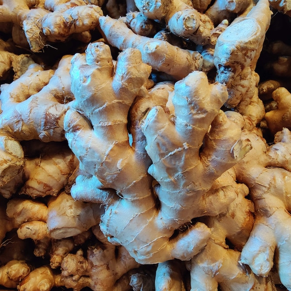 Organic Ginger Root - USDA Organic