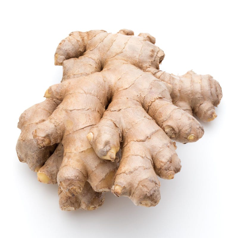 ginger-turmeric-rhizomes-etsy