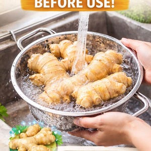 May include: A close-up of ginger roots being washed in a metal colander under running water. The image includes text that reads "WASH GINGER BEFORE USE!" and "REMOVE DIRT & BACTERIA".