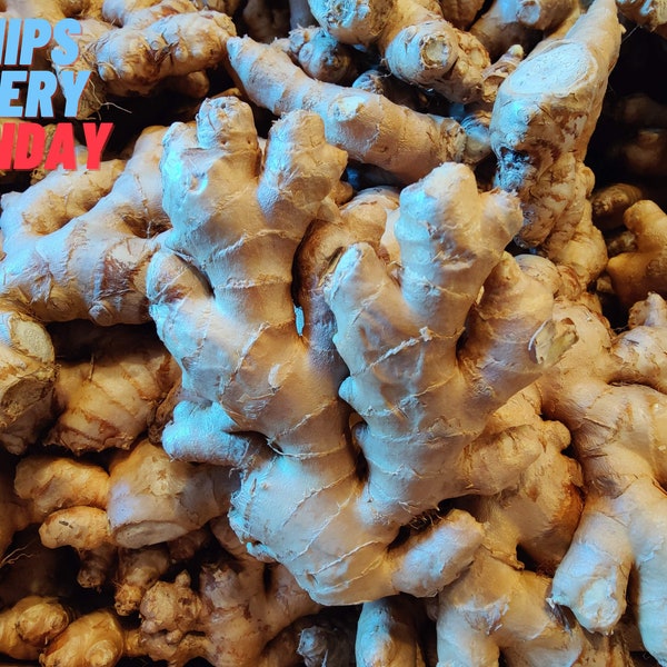 Organic Ginger Root - USDA Organic