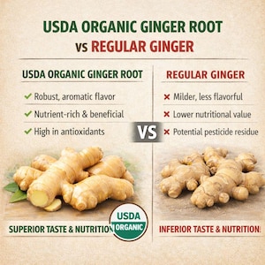 Organic Fresh Ginger Root – USDA Certified Rhizome for Cooking, Tea, Juicing, Planting image 6