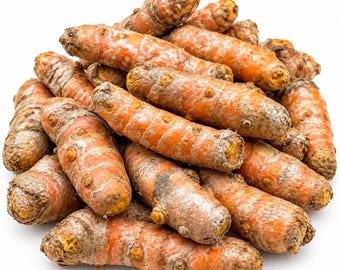 Organic Fresh Turmeric Root – USDA Certified Natural Whole Turmeric for Cooking, Teas & Smoothies