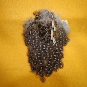 Roughed Grouse Capes For Fly Tying