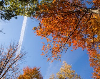 Matted Photography Print (4x6 image/8x10 mat) - Vapor Trail on an Autumn Day