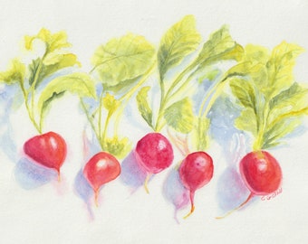 Watercolor "Radishes" Original  Still Life Painting, Wall Art, Kitchen Art, Vegetable Illustration, Fruit Art, Kitchen Decor, Radish Art.