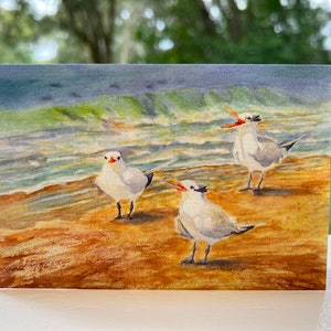 Watercolor Shore Birds on the Beach Giclee Prints Wall Art and Card ...