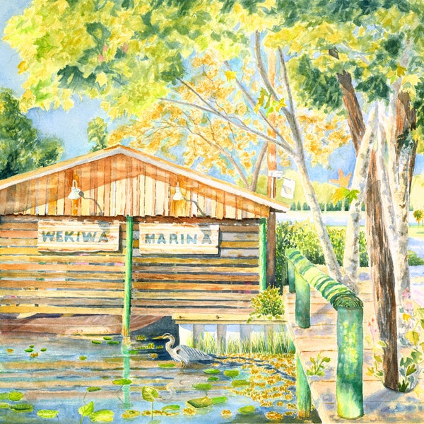 Watercolor "Wekiwa Marina"  Fine Art Giclee Print, Canvas or Card Set of a Florida River Landscape and Great Blue Heron.