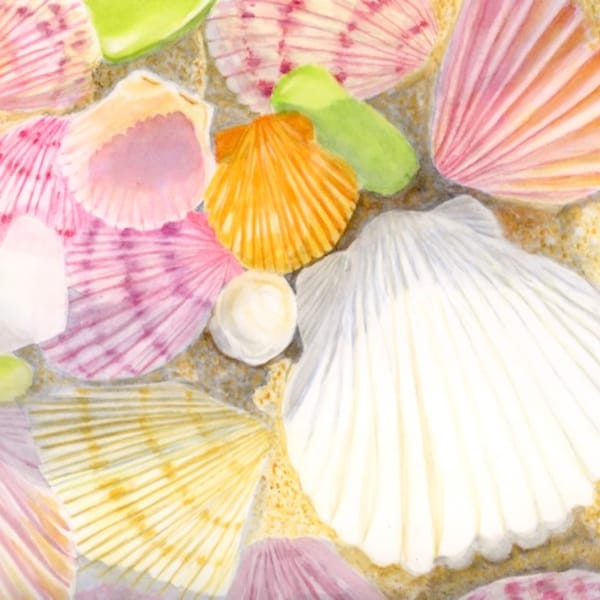 Watercolor "Shells on the Beach" Print, Canvas or Cards From My Original Art, Beach Art, Coastal Decor, Shell Art, Wall Art, Nautical Design