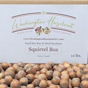 May include: A box of 12 pounds of small size raw in-shell hazelnuts, labeled "Squirrel Box" and "Variety: Yamhill". The box is brown with a white label that says "Washington Hazelnut, Family Owned, Family Operated, www.WashingtonHazelnutLLC.com".