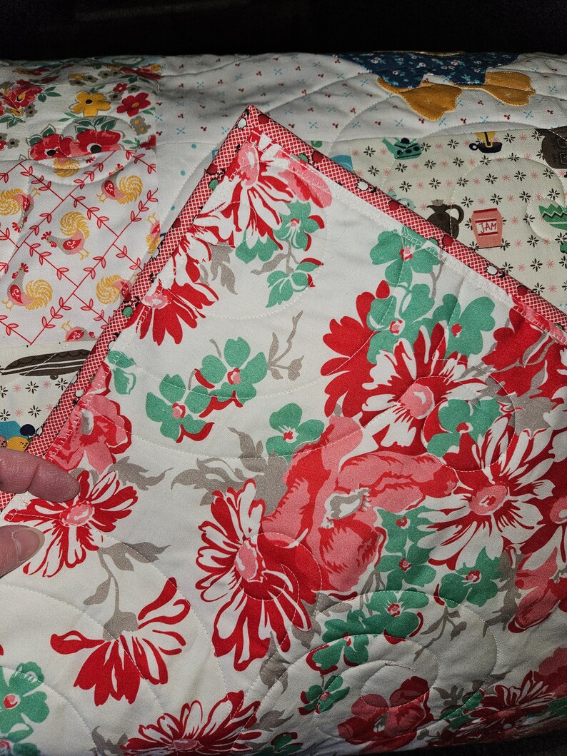 Lori Holt Chicken Salad Quilt for Sale Etsy