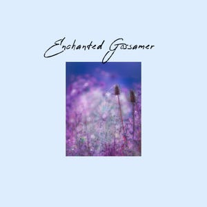Peut inclure: Une image onirique avec une toile d'araignée scintillante de gouttes de rosée, sur fond de fleurs violettes et bleues. Les mots "Enchanted Gossamer" sont écrits en script élégant en haut.