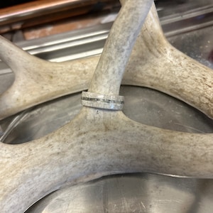 Men’s ring size 10, hunters gift, whitetail deer antler, antler ring.