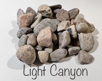 Guijarros / Cuencos para flores / Ideales para plantas de interior / Rocas para terrarios / Suculentas / Bonsáis / Violeta africana