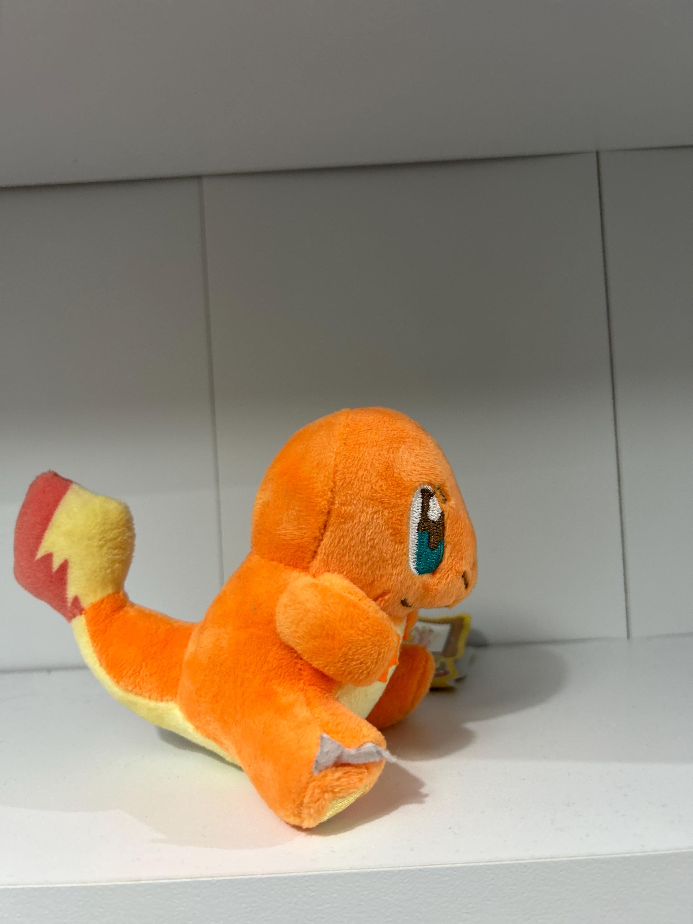ヒトカゲ ポケモンセンターS ぬいぐるみ ポケモンキャンバス
