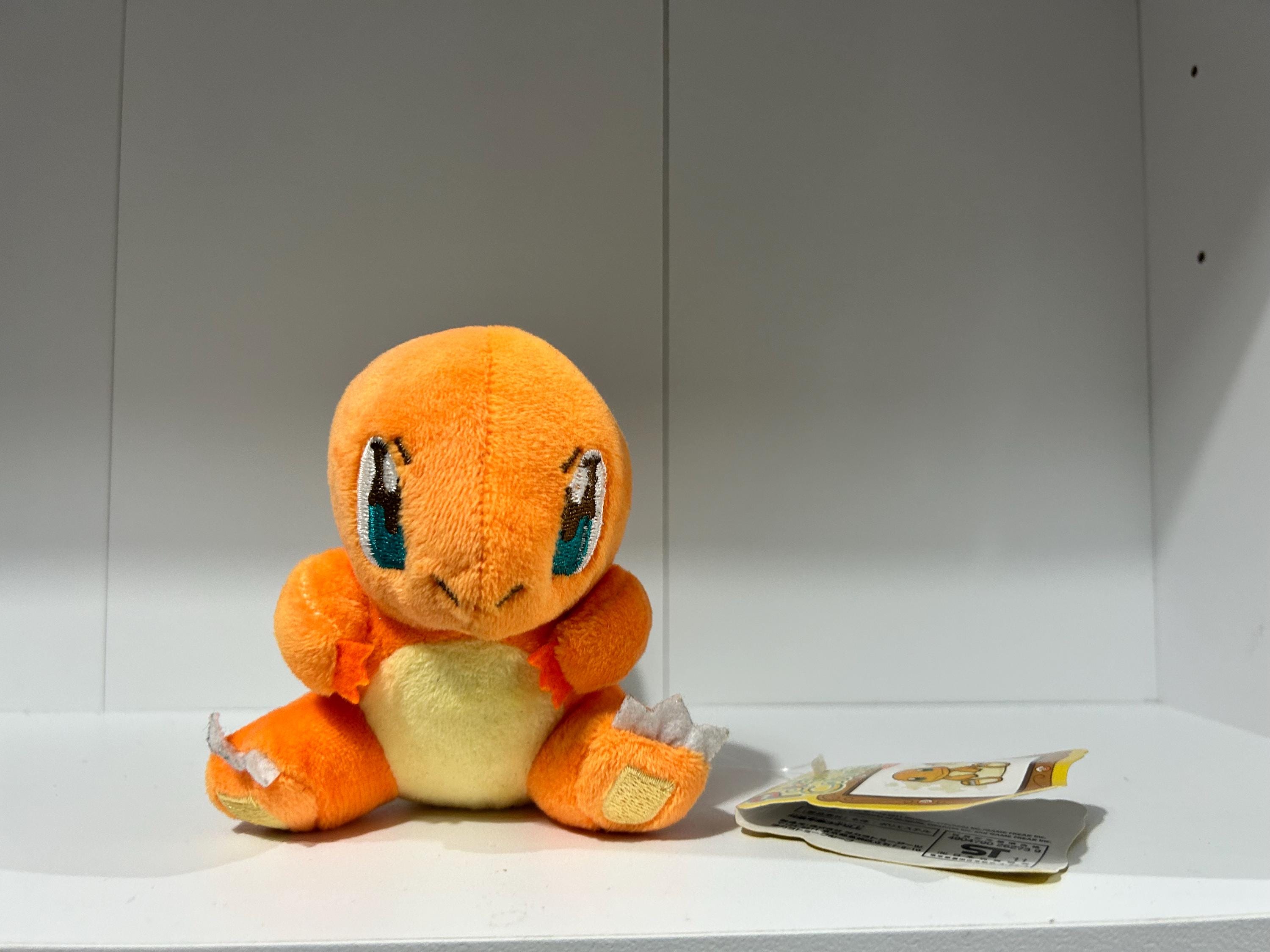 ヒトカゲ ポケモンセンターS ぬいぐるみ ポケモンキャンバス - Etsy 日本