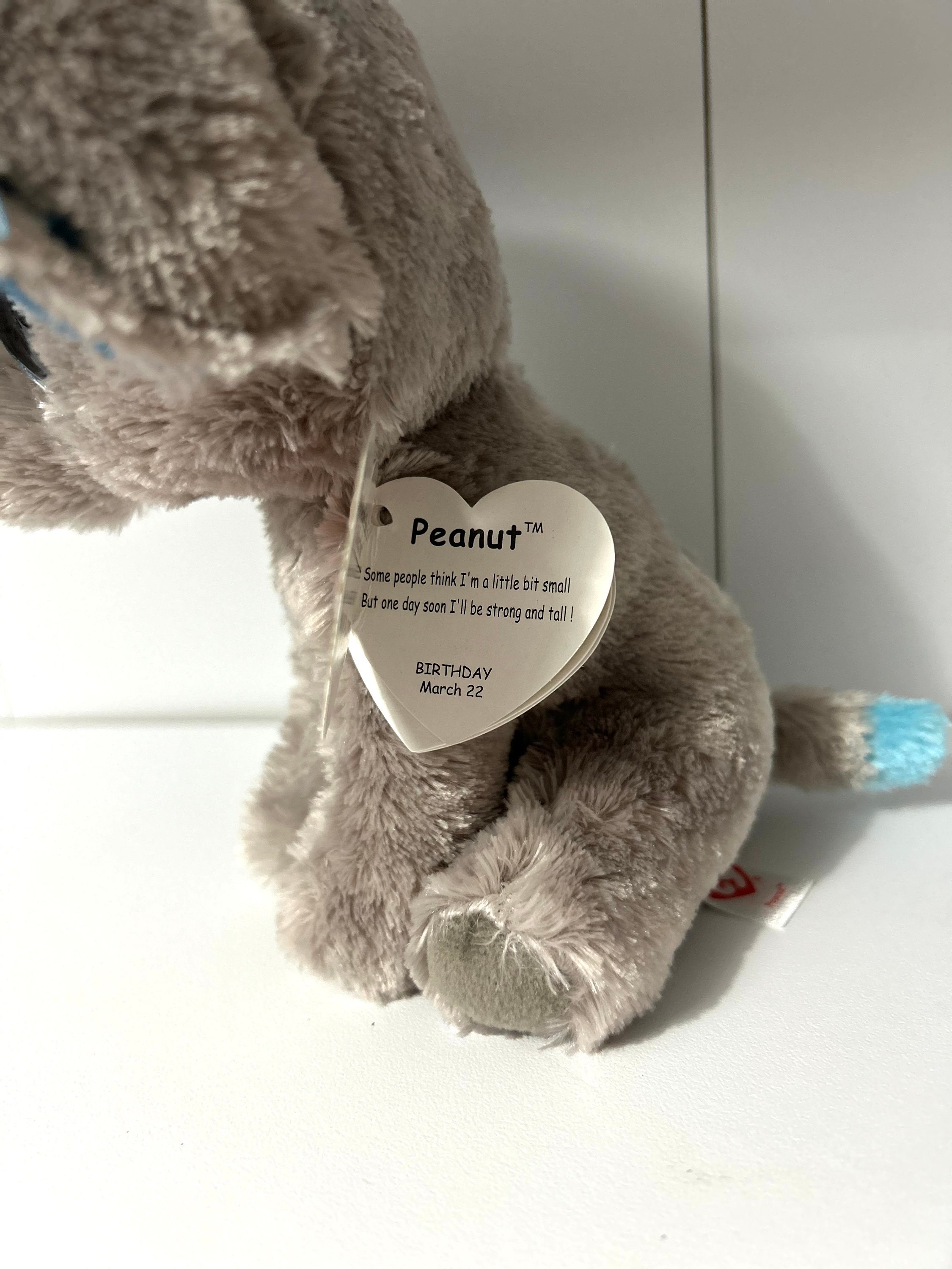 Peanut the Grey Elephant Glitter Eyes Ears Rare Ty Beanie Boos Etsy UK