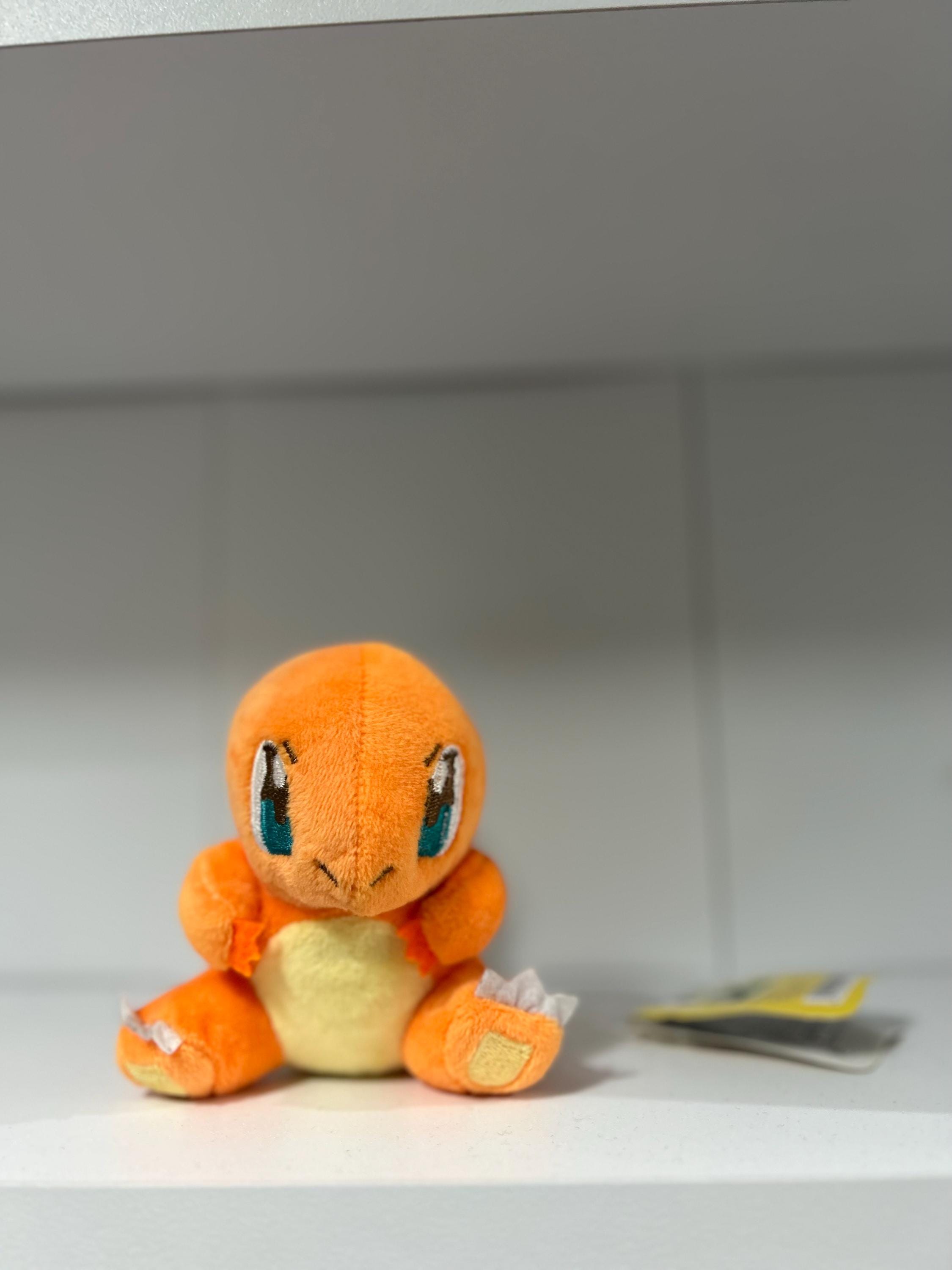 ヒトカゲ ポケモンセンターS ぬいぐるみ ポケモンキャンバス