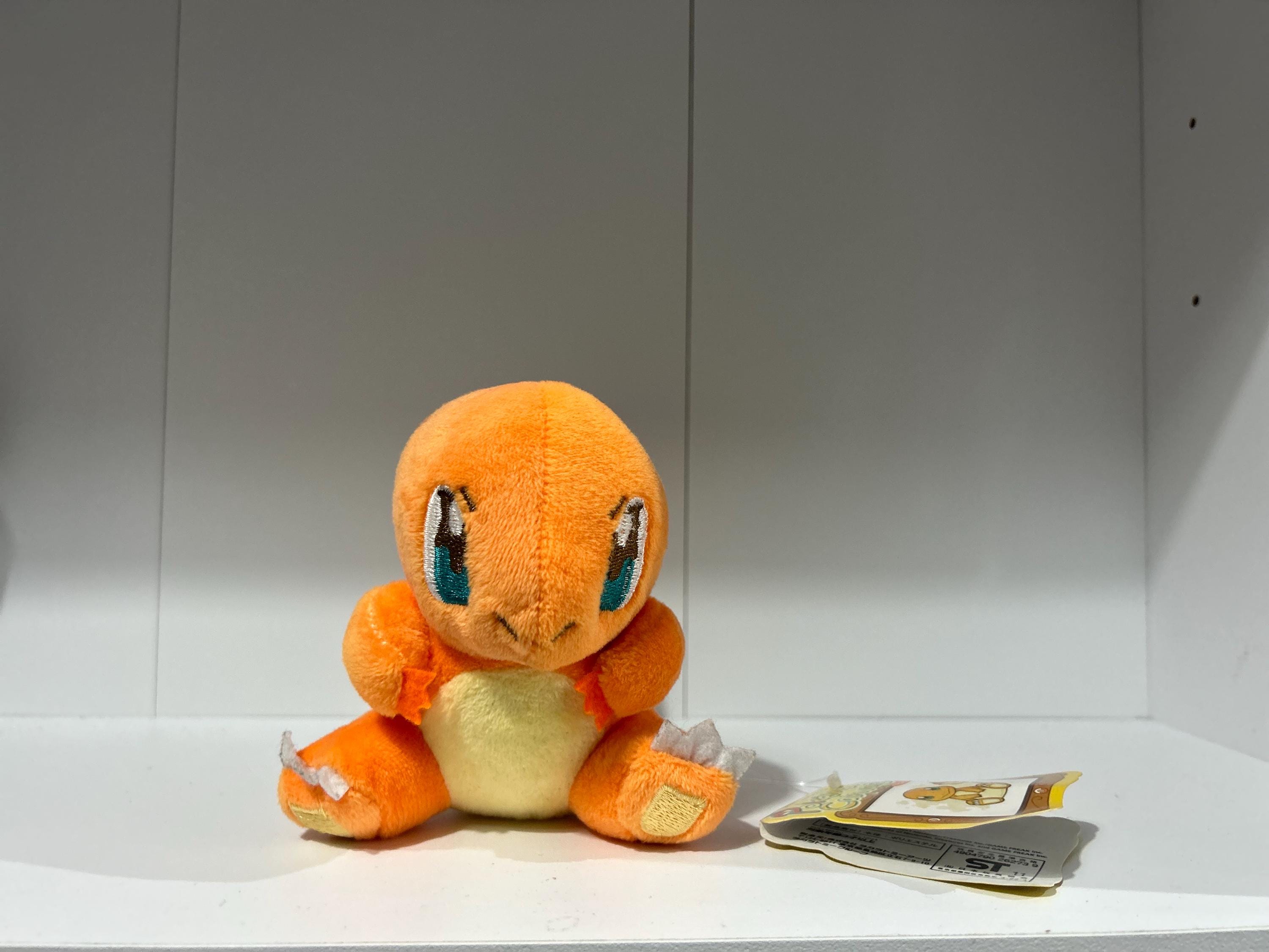 ヒトカゲ ポケモンセンターS ぬいぐるみ ポケモンキャンバス - Etsy 日本