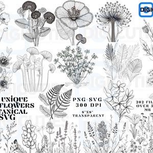 Wildflowers Botanical Svg Bundle, Botanical Svg, Wildflowers Botanical Svg, Botanical Svg Clipart Bundle, Wildflowers Svg Clipart, Cricut