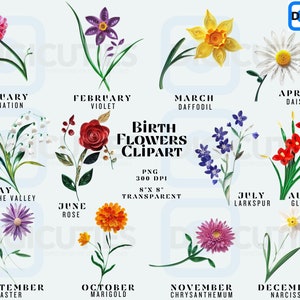 Nascita Fiori Clipart, Nascita Mese Fiori, Nascita Mese Fiori Png, Nascita Mese Fiore Bouquet Png, Nascita Fiore, Uso Commerciale
