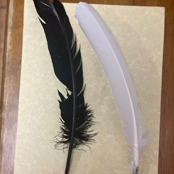 Feather Pen, Quill, Gift for readers, Gifts for writers, fantasy, Gifts for daughters, Gifts for teen, Gifts for son, Gifts for women, Craft