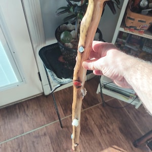 May include: A handcrafted wooden walking stick with a natural, light brown finish. The stick features decorative gemstones in various colours, including red, blue, and white. The top of the stick has a curved, organic shape. The stick is held by a person.