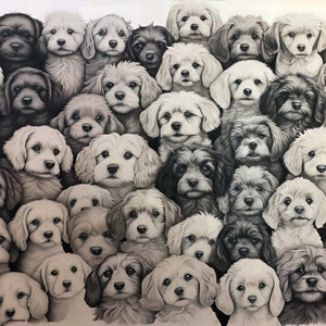 May include: A black and white drawing of a group of small dogs looking at the viewer. The dogs are all different breeds and sizes, but they are all drawn in a realistic style.