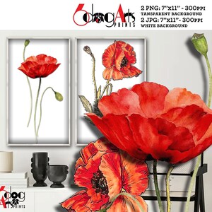 4 impressions numériques JPG, PNG transparent fleurs de pavot vintage téléchargement pour décoration murale bricolage sublimation JP-09