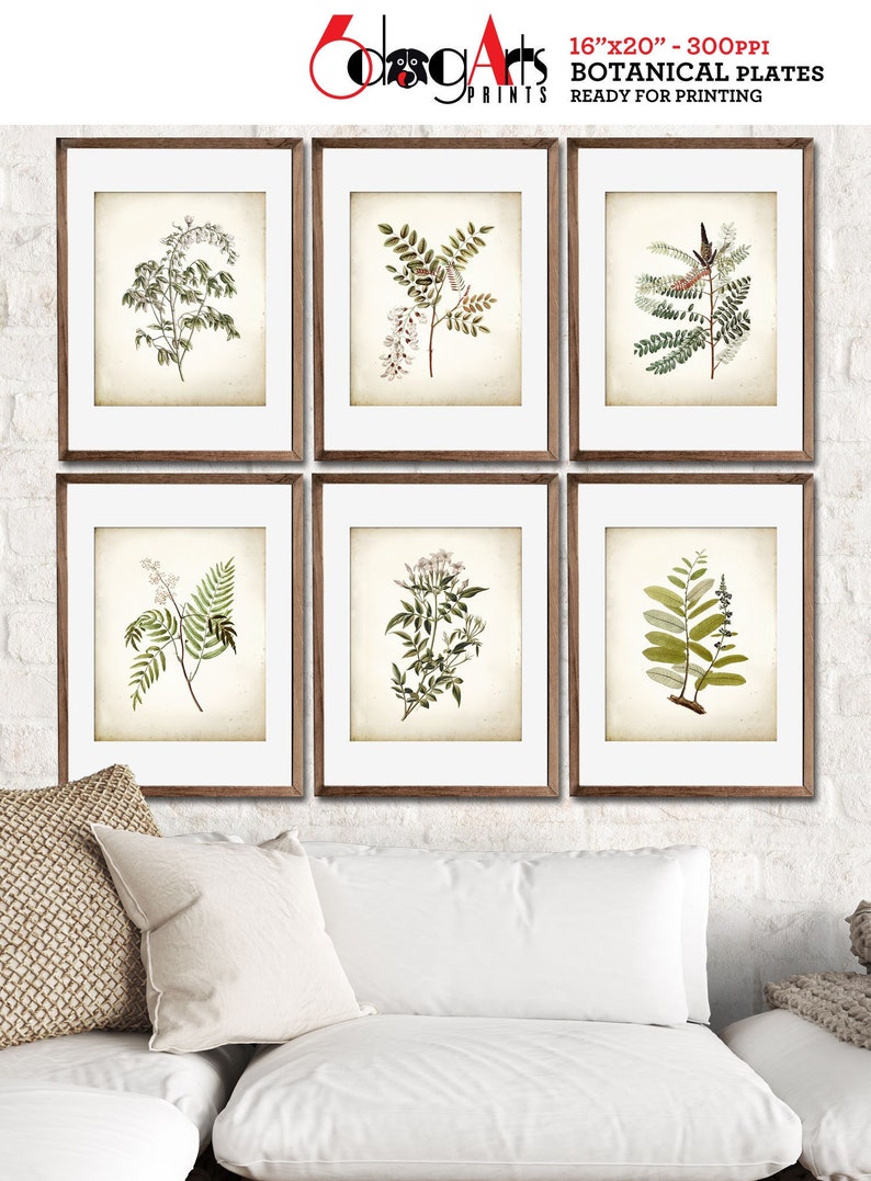 Antique Botanical Prints Set: Rustic Wall Art Decor (digital Download ...