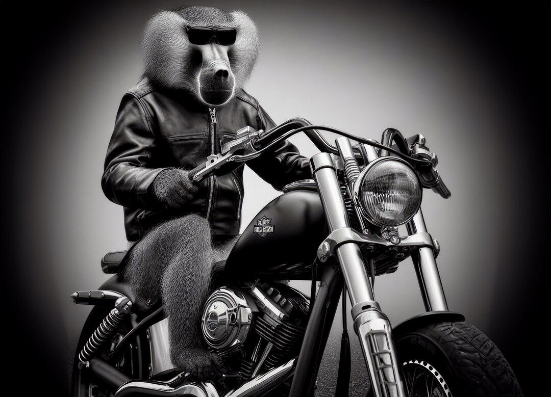 Cool Tough Baboon Riding Harley Davidson Black and White Photograph ...