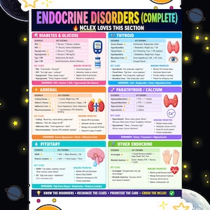 May include: A colorful educational infographic about endocrine disorders, including diabetes, thyroid, adrenal, parathyroid, and pituitary issues. The text includes key features, key clues, and nursing priorities for each disorder, with a glucose meter graphic.