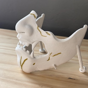 Può includere: Una maschera bianca e stilizzata con un design scheletrico, con una mascella e una sezione nasale. La maschera ha accenti color oro ed è montata su due viti bianche. La maschera è esposta su una superficie di legno.