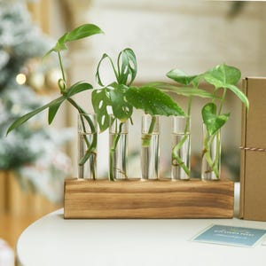 Plant Lover Geschenke Reagenzglashalter aus Holz mit Korkverschlüssen | Gewürzregal | Glas Reagenzglas Wasser Vermehrung Vase Geburtstag Hochzeit Geschenke