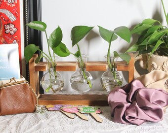 Wooden Propagation Station Gift Box - Appreciation Gift- Big Thank you- Plants Cuttings Holder For Gardeners Plant Lovers