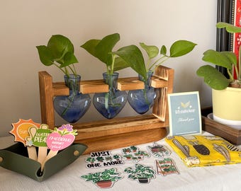 May include: A wooden plant propagation station with three heart-shaped blue glass vases, each holding a green plant. A green tray with plant care signs and plant stickers are in front. A yellow cloth with a cactus print is also present.