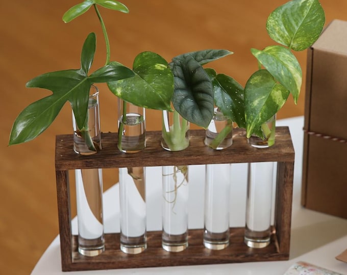 Wall Mounted Wood Plant Propagation Station, Test Tube Holder, Indoor Plant Stand for Women Gifts