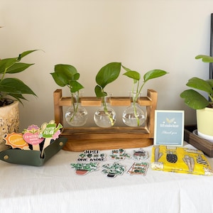 Plant Propagation Station with 3 Glass Vessels, Plant Lover Gift Set, Hydroponic Window Herb Garden Gifts
