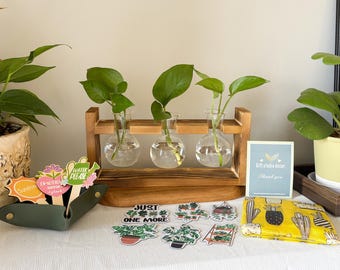 May include: A wooden propagation station with three glass bulb vases, each holding a green plant cutting. A green leather tray holds decorative plant stakes. Stickers and a yellow pouch with cactus designs are also present.