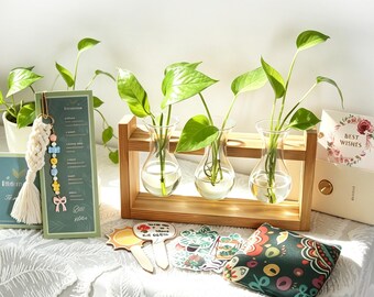 May include: A wooden propagation station with three glass bulb vases containing green pothos cuttings, a macrame keychain with colorful beads, a green informational card, a sun-shaped plant marker, and a patterned fabric pouch.