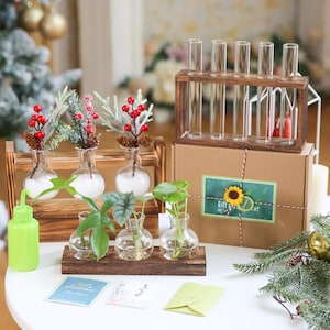 Pflanzenvermehrungsstation Geschenk-Set | Blumentopf aus Holz | Zimmerpflanzensteckhalter | Hochzeit Mittelstück | Geschenk für Pflanzenliebhaber