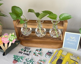 May include: A wooden plant propagation station with three clear glass vases, each holding a green plant cutting. Several plant-themed stickers and a yellow cactus-print scarf are also visible. A small card reads "Gift studio decor Thank you."