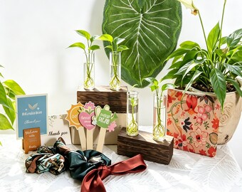 May include: Four clear glass test tube vases with green plant cuttings sit on two dark wooden blocks. Included are two fabric scrunchies in brown and dark green, a large green leaf-shaped cushion, a potted plant, and several small decorative signs.